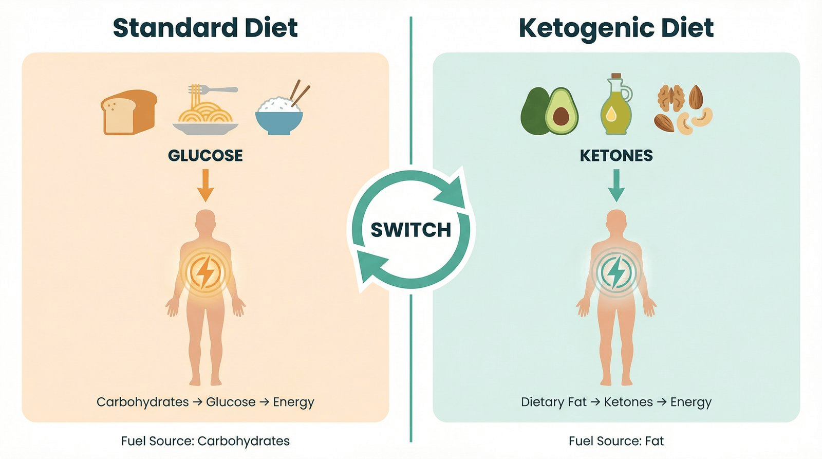 The Keto Diet: What It Is, How It Works & How to Get Started